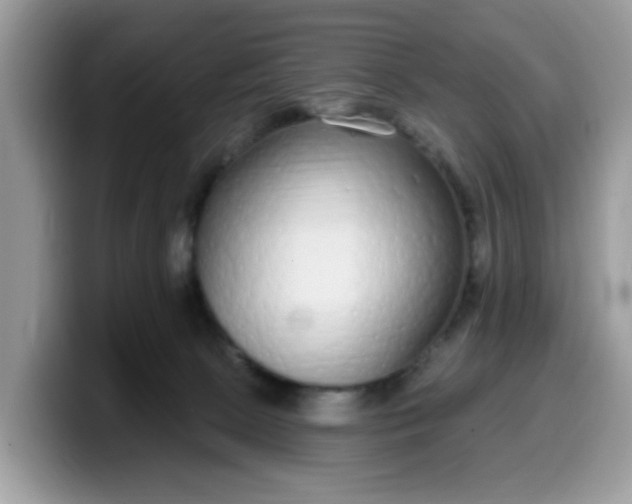 X0000099580081200805301607