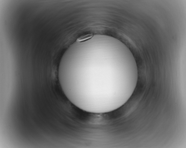 X0000099580083200805301608