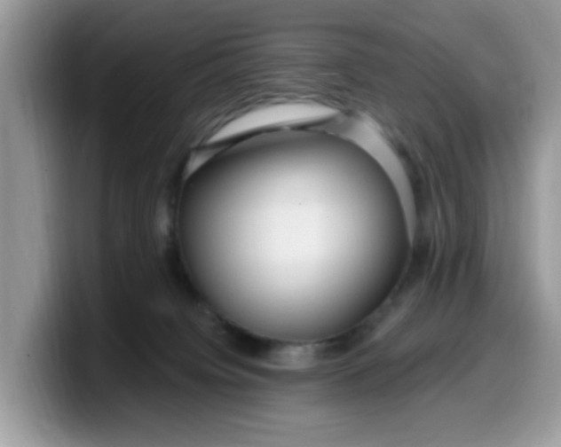 X0000099580084200805301608