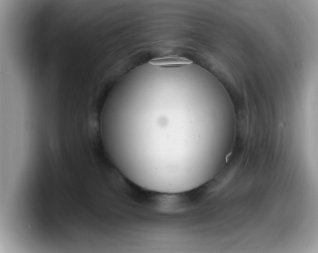 X0000099580085200805301608