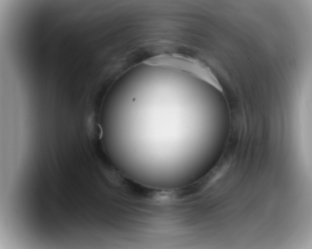 X0000099580088200805301608