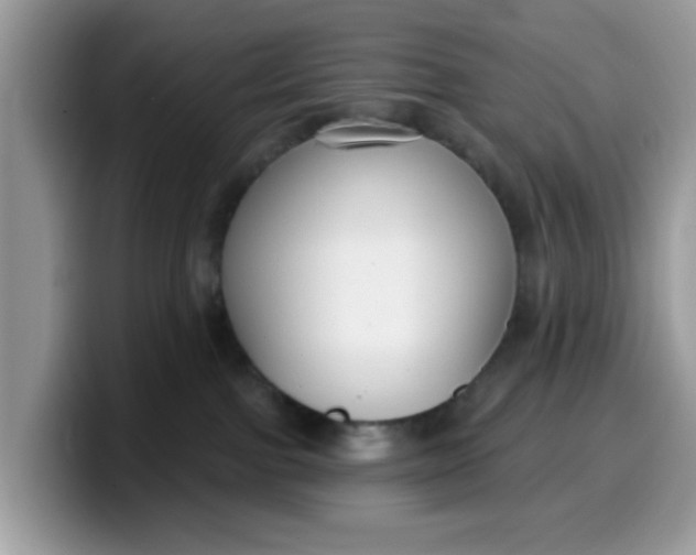 X0000099580091200805301608