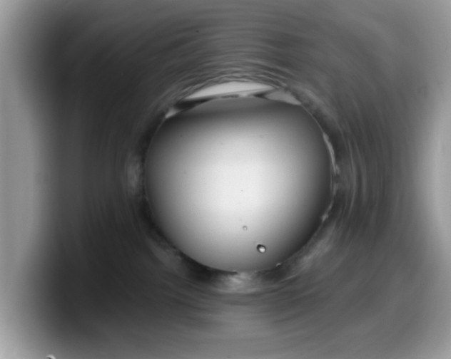 X0000099580092200805301608