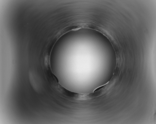 X0000099580093200805301608