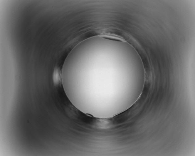 X0000099580095200805301608