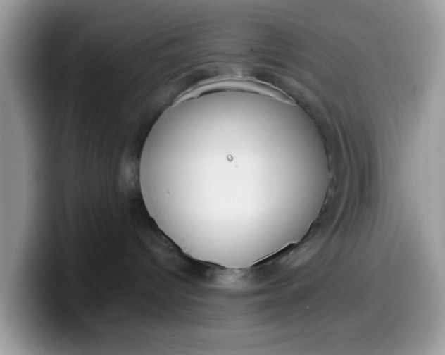 X0000099580096200805301608