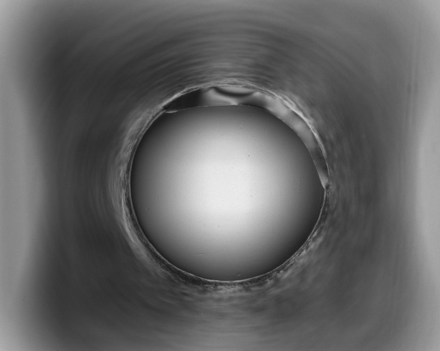 X0000099580097200805301607