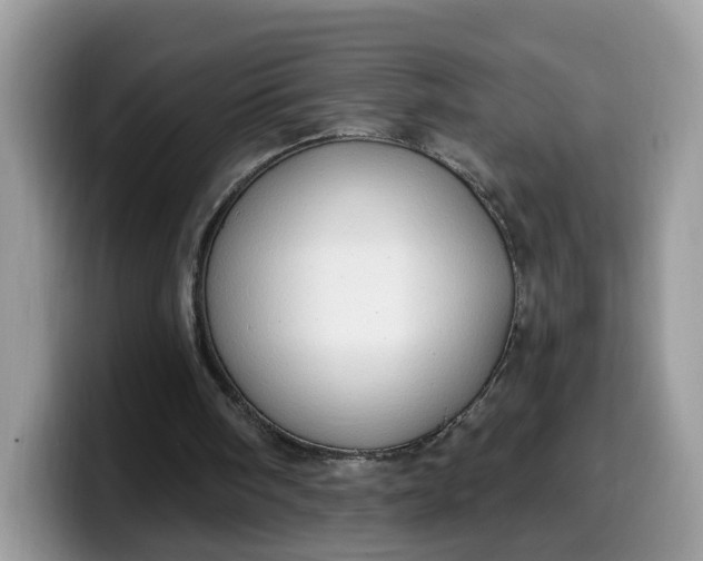 X0000099580098200805301607