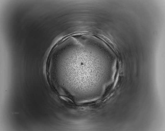 X0000099580099200805301607