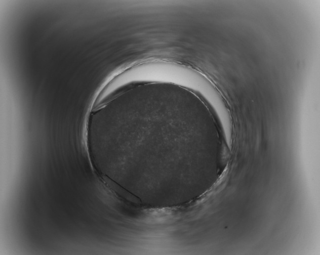 X0000099580100200805301607