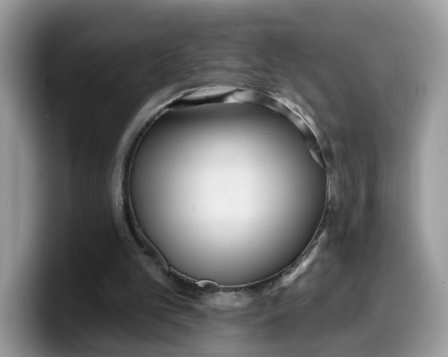 X0000099580101200805301607