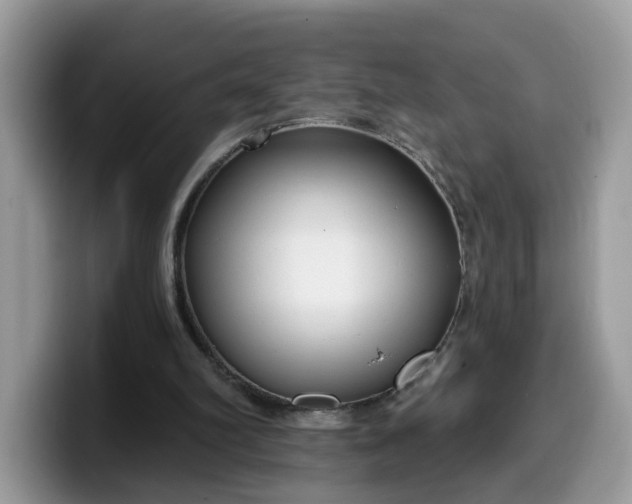 X0000099580102200805301607