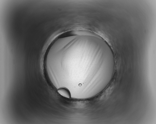 X0000099580103200805301607