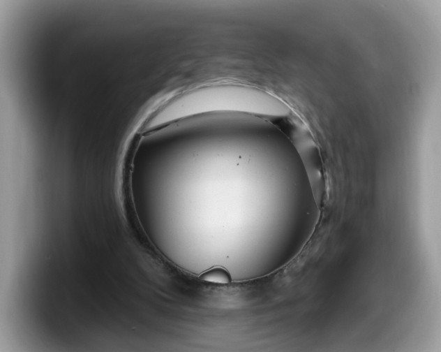 X0000099580104200805301607