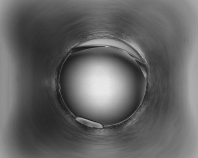 X0000099580105200805301607