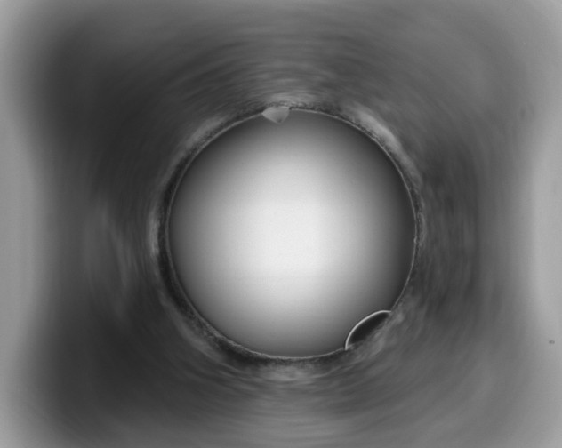 X0000099580106200805301607