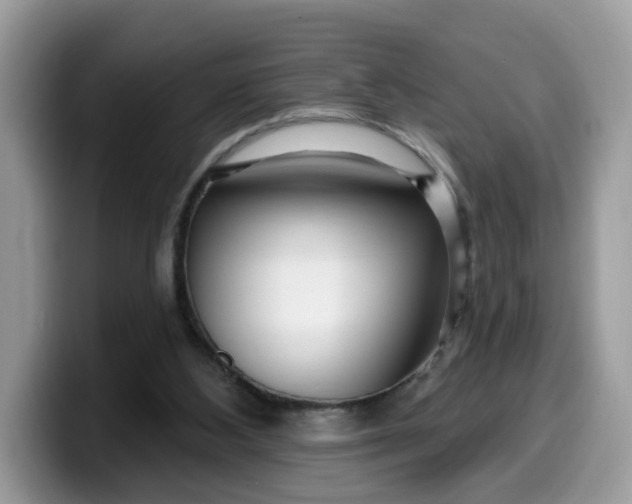 X0000099580108200805301607