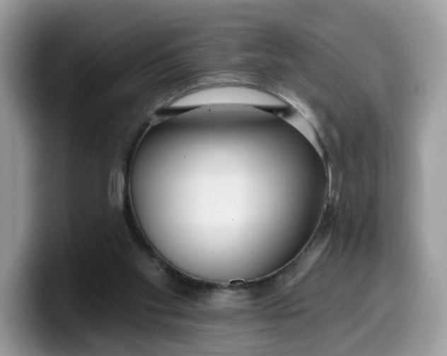 X0000099580109200805301607