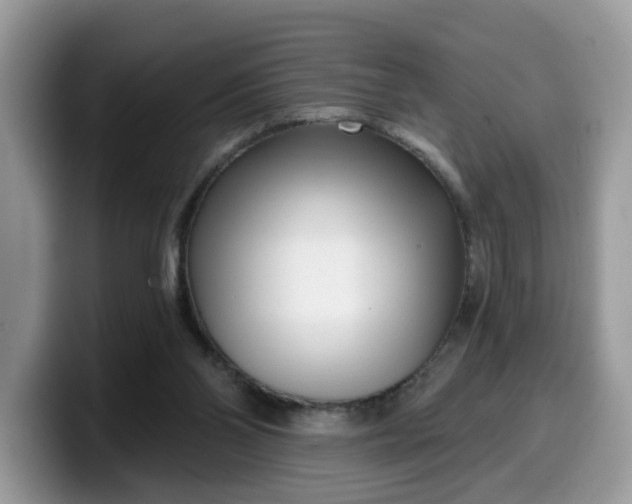 X0000099580110200805301607