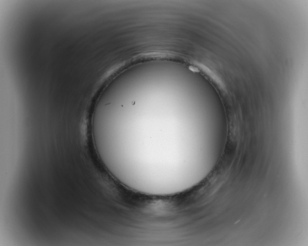 X0000099580111200805301607