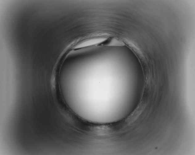 X0000099580112200805301607