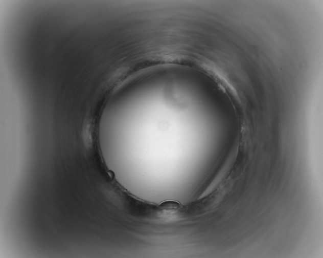 X0000099580114200805301607