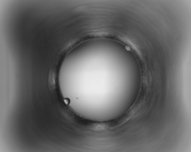 X0000099580115200805301607