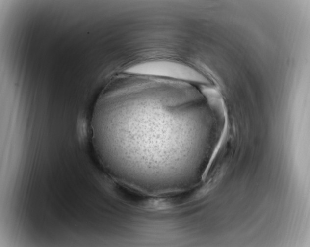 X0000099580117200805301607