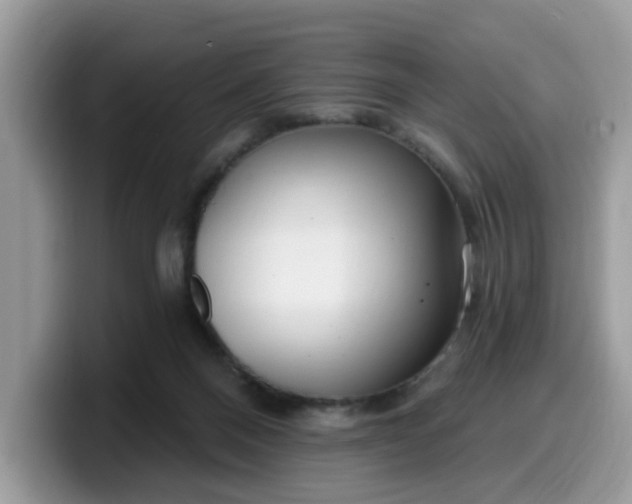 X0000099580120200805301607