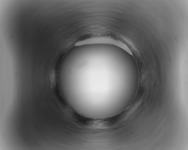 X0000099580121200805301607