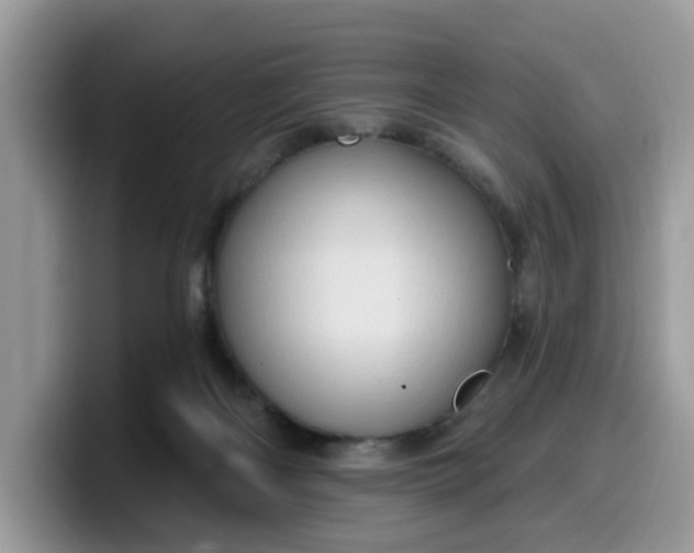 X0000099580122200805301607