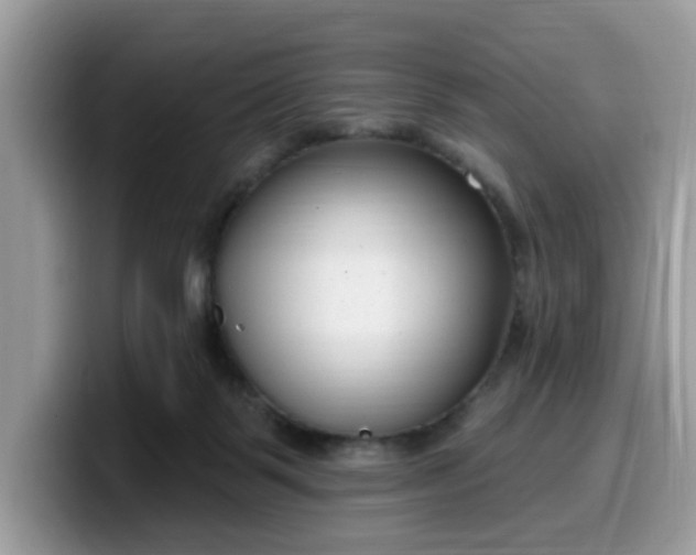 X0000099580123200805301607