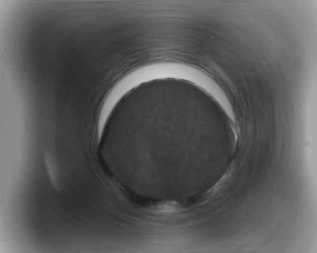 X0000099580124200805301607