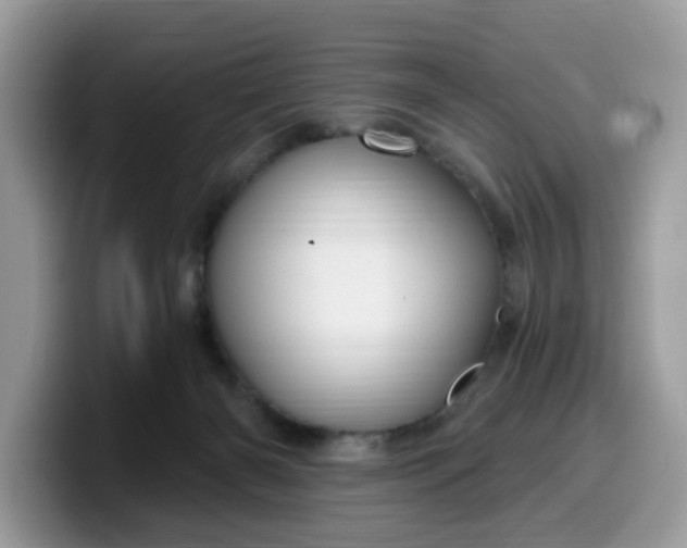 X0000099580126200805301607