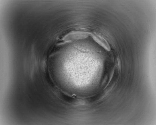 X0000099580127200805301607