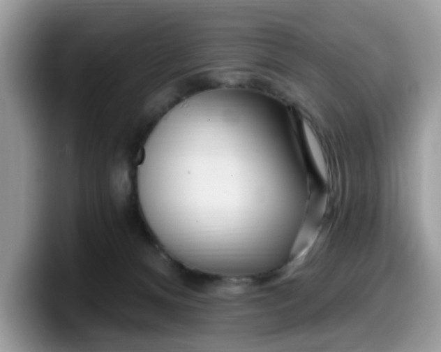 X0000099580128200805301607