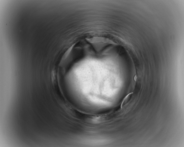 X0000099580130200805301607