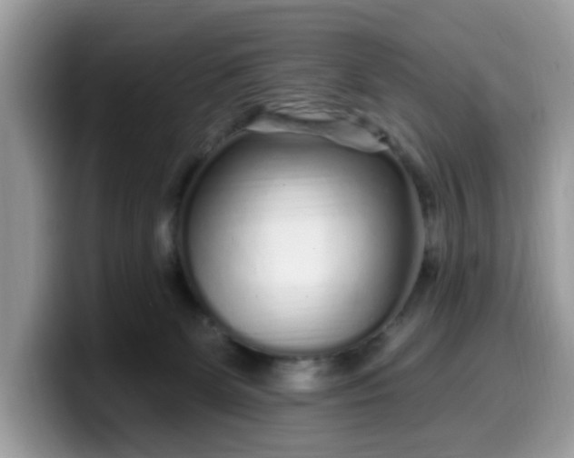 X0000099580131200805301607