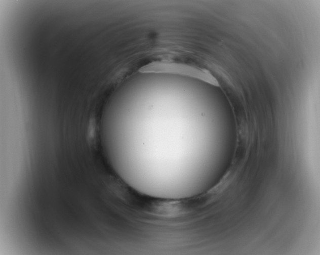 X0000099580132200805301607