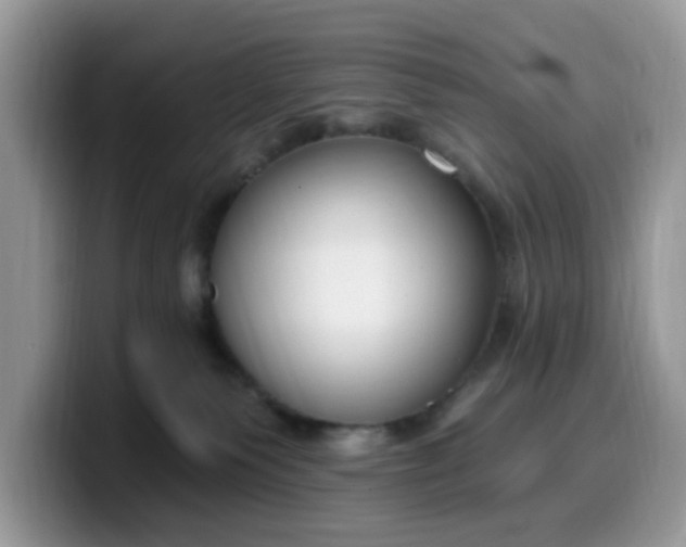 X0000099580135200805301607