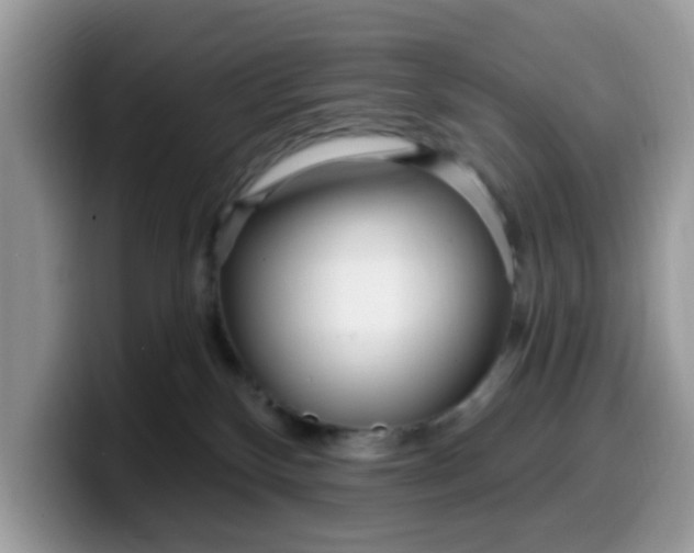 X0000099580136200805301607