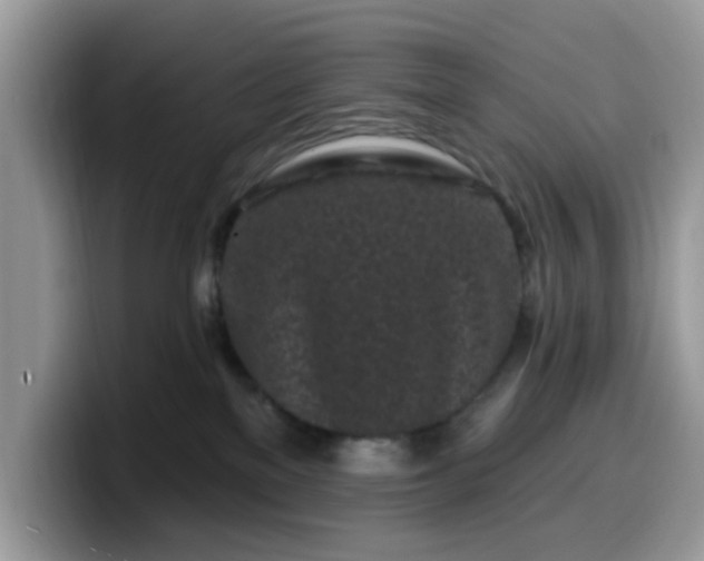 X0000099580137200805301607