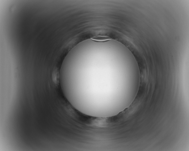 X0000099580138200805301607