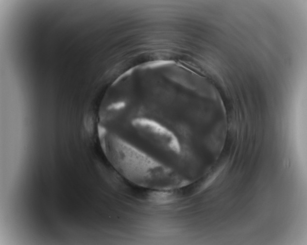 X0000099580139200805301607