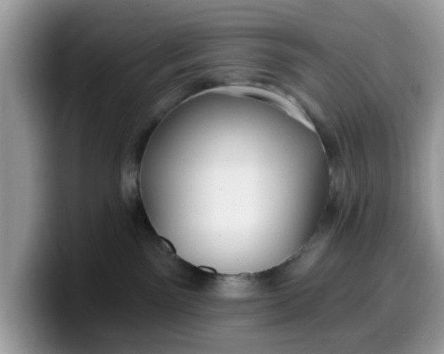 X0000099580141200805301607