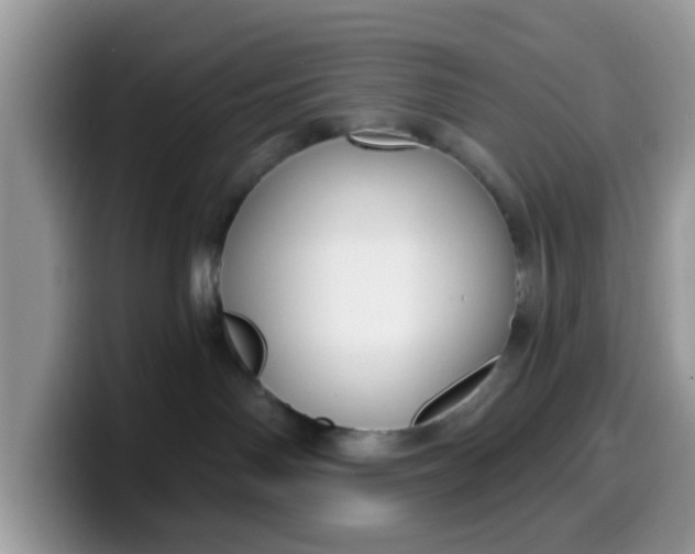 X0000099580142200805301607