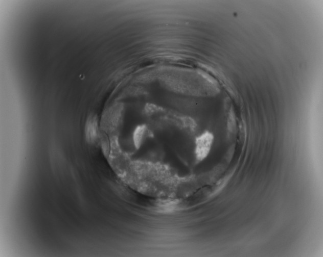 X0000099580143200805301607