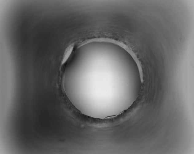 X0000099580144200805301607