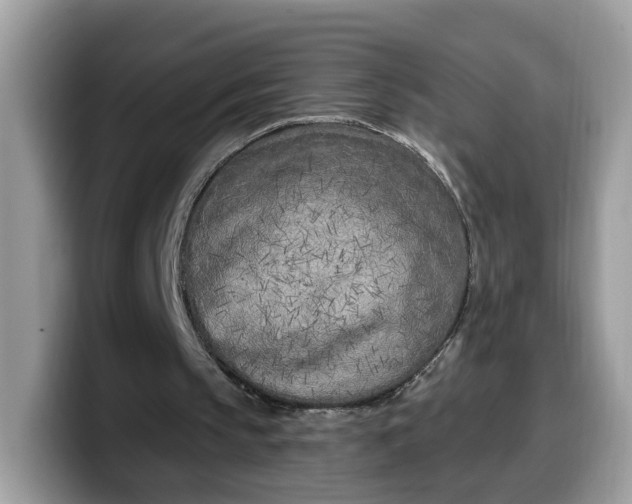 X0000099580145200805301606