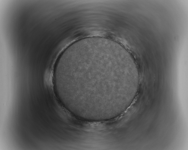 X0000099580146200805301606